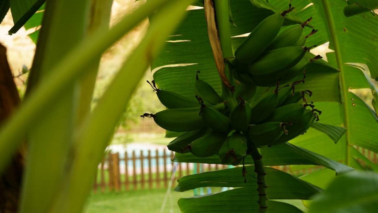 Villa Tropical Slow Orgiva Bagian luar foto
